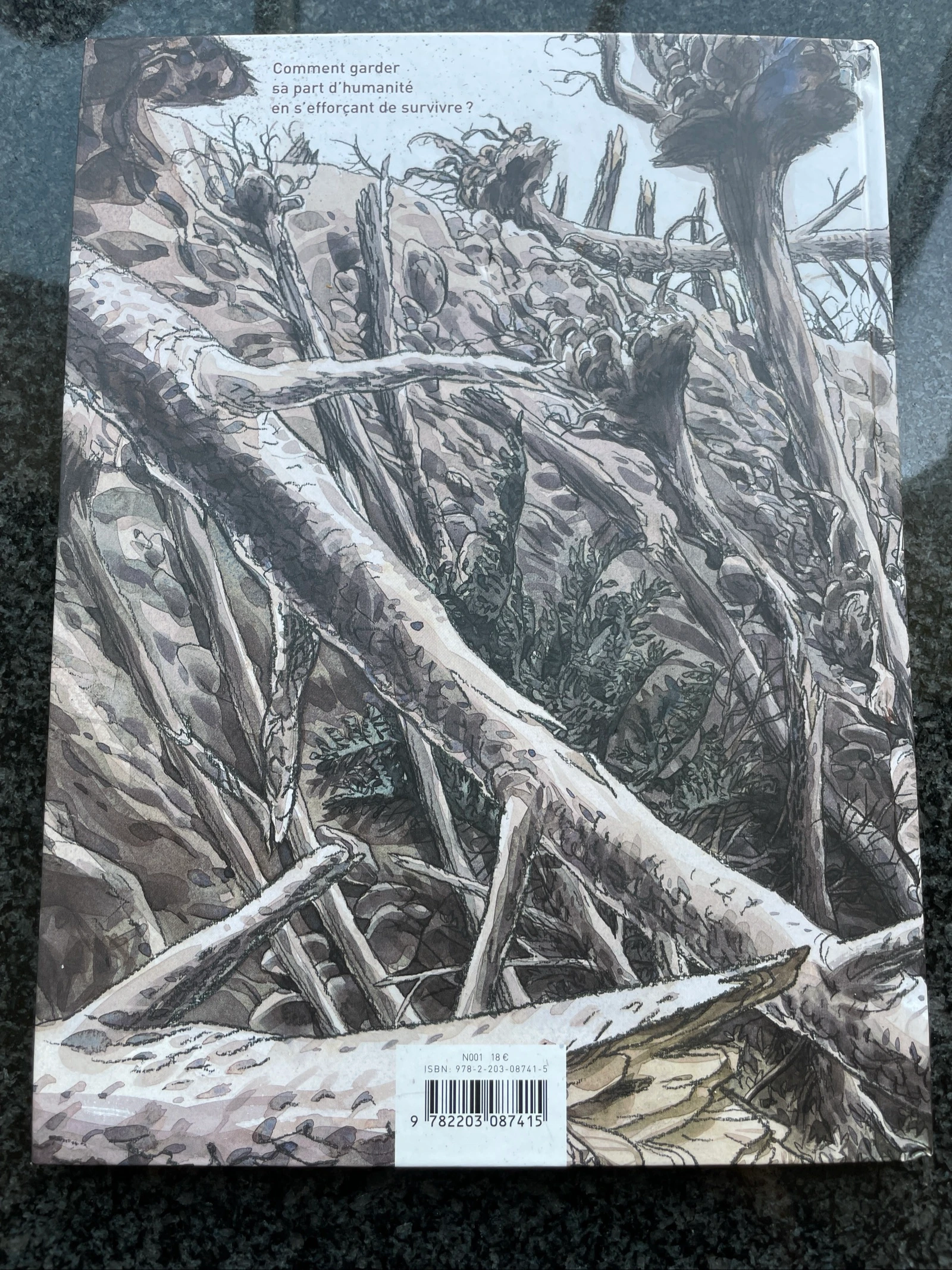 Bd the rest of the world / Jean-Christophe Chauzy / Casterman – photo 2
